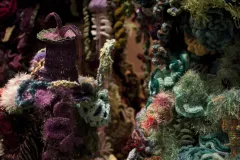 The Smithsonian Community Crochet Reef