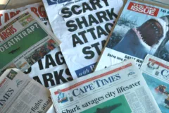 Newspapers with shark attack headlines in South Africa.
