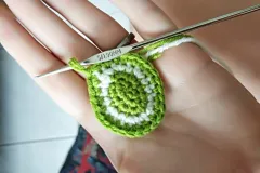 the final stages of a crochet microbe