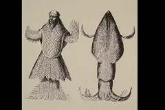 Mermen? Sea Monks? Or Giant Squid? Illustration of a giant squid versus a merman.