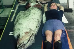 Dr. Clyde Roper lies next to a giant squid specimen. 