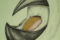 A tongue-like organ called the radula rams food down the giant squid&#039;s throat.