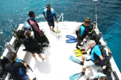 A group of divers prepares on a boat deck. 