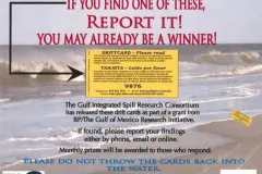 Citizen Science Tracks Oil’s Path: When oil spills into seawater, it's hard to know where ocean currents will carry it. To map Gulf currents and improve predictions, scientists with GoMRI's GISR project are dropping biodegradable yellow driftcards throug