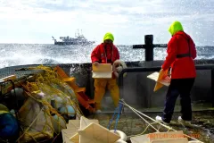 Scientists on a ship toss drifters overboard