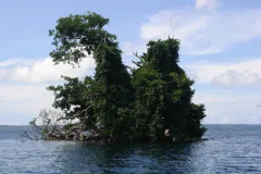 The East Rennell site in the Solomon Islands was inscribed on the World  Heritage List in 1998. The site contains one of the largest raised coral  atolls in the world, with a marine area extending three nautical miles  to sea.  The strong climatic effects 