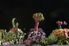 A piece of the Institute For Figuring’s Hyperbolic Crochet Coral Reef known as the Ladies Silurian Atoll.