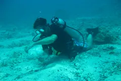 A diver collects water samples. 
