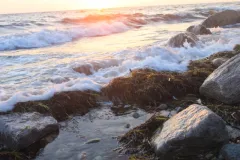 Waves crash on a rocky shore. 
