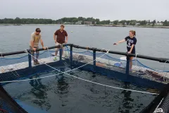 Trout cages in 30 feet of water. 