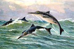ichthyosaurs frolic in the waves