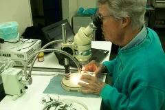 John Paxton, a scientist who studies marine life, looks into a microscope