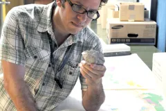 Ancient sea cow vertebra found in the Gatun Formation in Central America, Panama