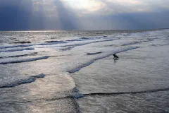 A surfer waits for the perfect wave. 