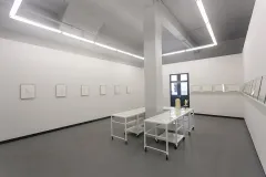 Kopelman's work was exhibited at DiabloRosso Gallery in Panama. 