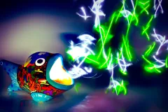 A light painted image of a hand-painted ceramic fish with light emitting from its mouth