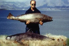 Photo of a man holding totoaba a vaquita caught in a net underneath. 