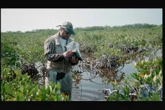 Marc Frischer from the Skidaway Institute of Oceanography studies bacteria at a Smithsonian field station.