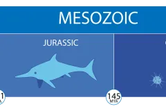 A timeline of the mesozoic era