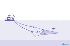 A ship pulls a trawl.