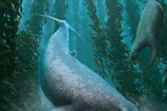 an ancient whale scavenges in a kelp forest