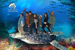 Students are made to look like they are riding the back of a giant turtle in a doctored photo.