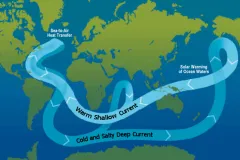 The global conveyor belt moves water all around the world. 