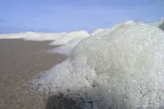 seafoam
