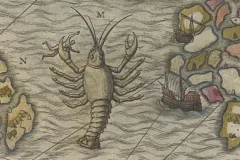 A lobster like beat on an old map