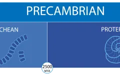 a timeline of the precambrian