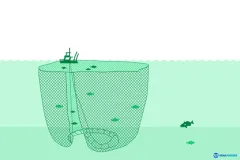 a ships sets a purse seine.