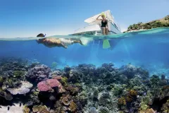 a man snorkels at the surface near a coral reef while a woman sits on a boat and watches
