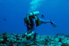 A scientific diver collects data on an underwater slate.