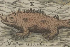A sea pig illustration on an old map