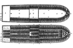 An illustration of how slaves were arranged on slave ships.