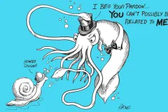 Like snails, clams, and even slugs, giant squids are all mollusks, with soft, fleshy bodies.