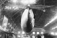 the view of a whale cast from the tail end