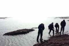 Students from Helen Scales' class visit the seashore to explore mollusks. 