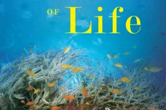 The Ocean of Life by Callum Roberts, US cover