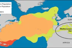 Map showing the range of the eastern and western populations of Atlantic bluefin tuna and their spawning grounds in the Gulf of Mexico and the Mediterranean Sea.