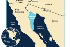 Map showing vaquita range in the Gulf of California with inset showing the Western Hemisphere and equator.