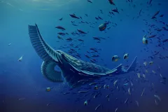 The first known filter feeder is a large shrimp-like creature called Tamisiocaris borealis. The feather-like structures on its head were used to rake plankton from the sea.