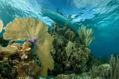 a coral reef with the outline of a fishing boat at the surface
