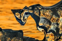 Polar ice melting during sunset