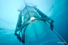 By pumping enormous test tubes that are 60-feet deep and hold almost 15,000 gallons of water with carbon dioxide to make the water inside more acidic, researchers can study how zooplankton, phytoplankton and other small organisms will adapt in the wild.