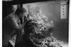 Walter Adey and the NMNH coral reef tank
