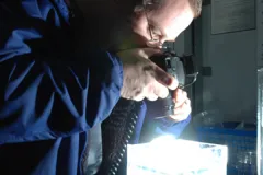 Scientist Kevin Raskoff documents organisms by building an aquarium.