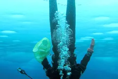 An ice diver swims beneath the ice-covered surface.