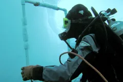 Ice divers study the abundance of marine life.