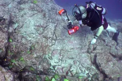 Auster gets ready to study fish predators at Gray’s Reef National Marine Sanctuary off the coast of Georgia.